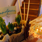 Piantine reception CasAlpaCa