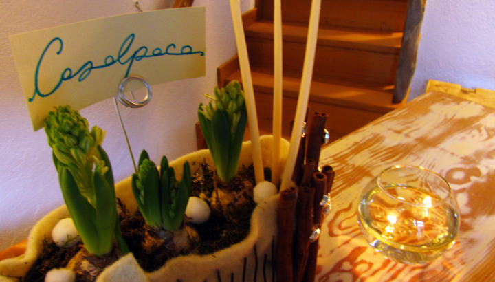 Piantine reception CasAlpaCa